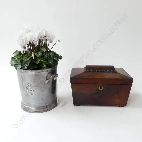 WHITE CYLAMENS IN EP BUCKET + ANTIQUE MAHOGANY TEA CADDY W.230mm