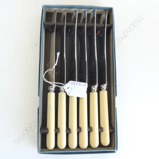 6 CASED IVORINE 'BONE' HANDLE KNIVES