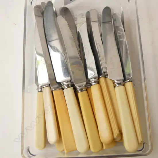 22 VINTAGE ‘BONE’ HANDLE KNIVES SHEFFIELD 