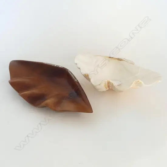 CLAM SHELL (W.270mm) AND WOODEN SOLOMON ISLAND CLAM SHELL WITH M.O.P. INLAY (W.360mm)