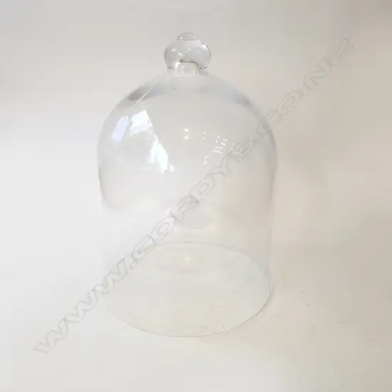 LG GLASS CLOCHE H.430mm