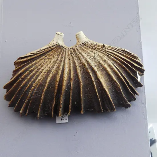 LEN CASTLE POTTERY WALL POCKET CHIPPED L290MM