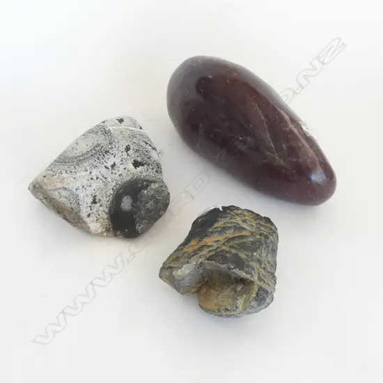 3 GEOLOGICAL SPECIMENS 
