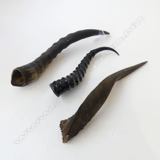 3 HORNS, BUSH BUCK, SPRINGBOK, BLESBOK L.325mm