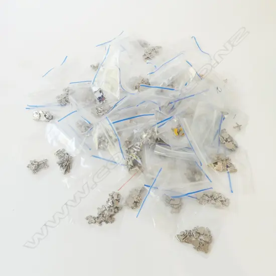 ASST. COSTUME CHARMS