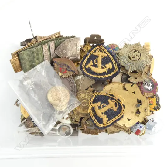 TRAY OF MILITARY BADGES & OTHERS
