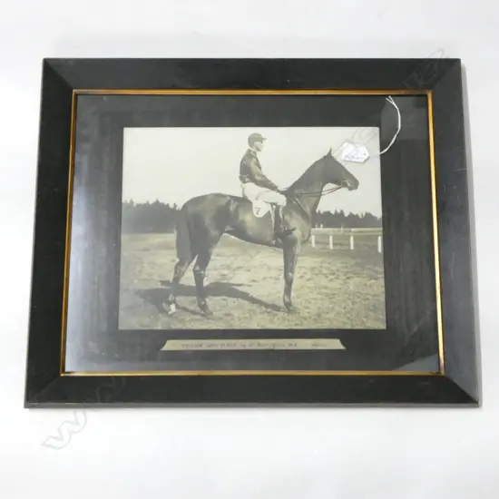 VINTAGE PHOTO, RACING HORSE & RIDER 'YELLOW & BLACK' 280x355mm retouched