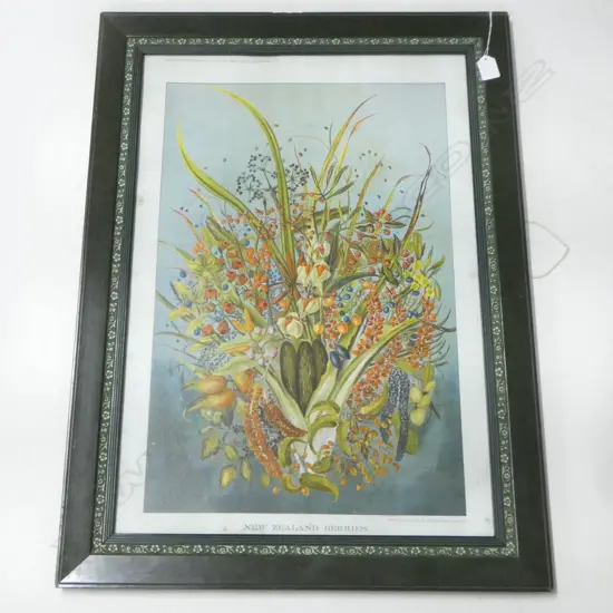 ANTIQUE CHROMOLITHOGRAPH 'NEW ZEALAND BERRIES' 645x440mm
