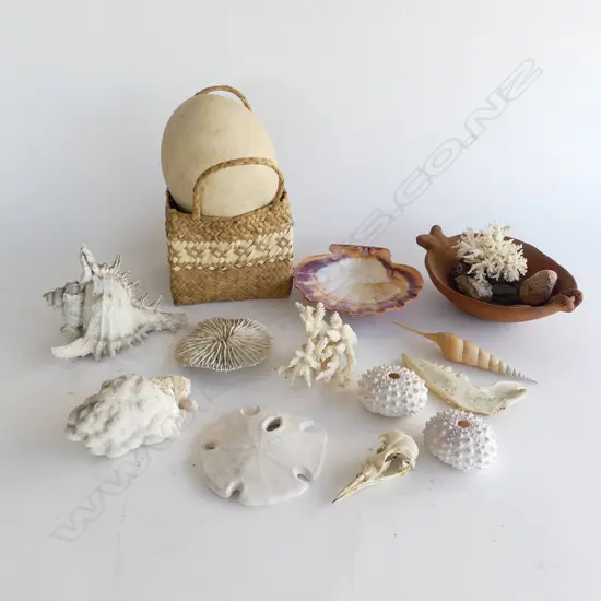 INTERESTING BOX OF SEA SHELLS CORALS OSTRICH or EMU EGG ETC