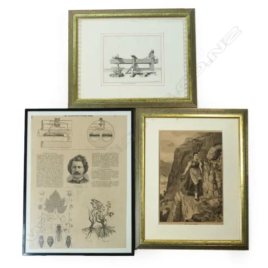 Three wine themed 19thCprints,