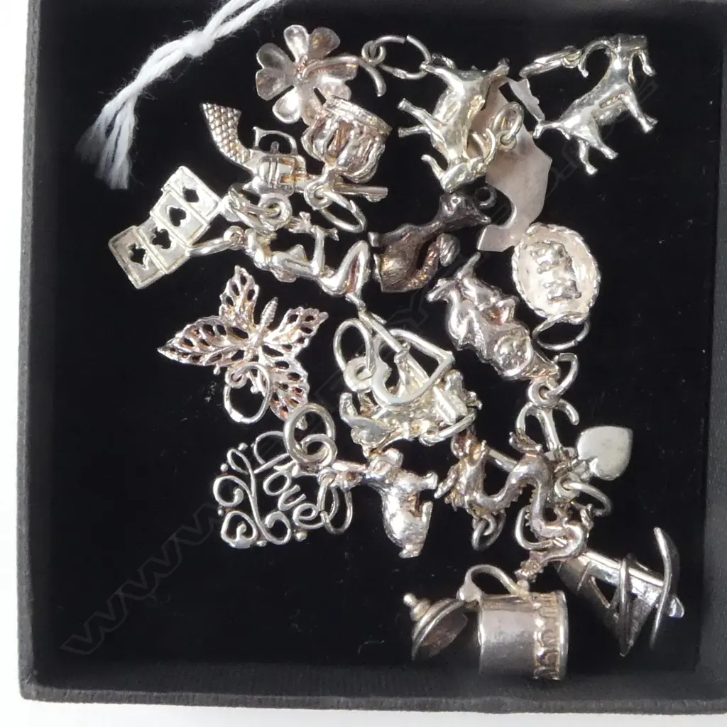 ASST. STG SILVER CHARMS TW 30.2gms Image 1++