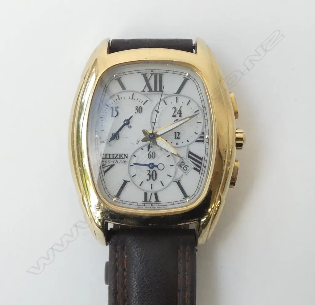 CITIZEN ECO DRIVE WRIST WATCH Image 1++