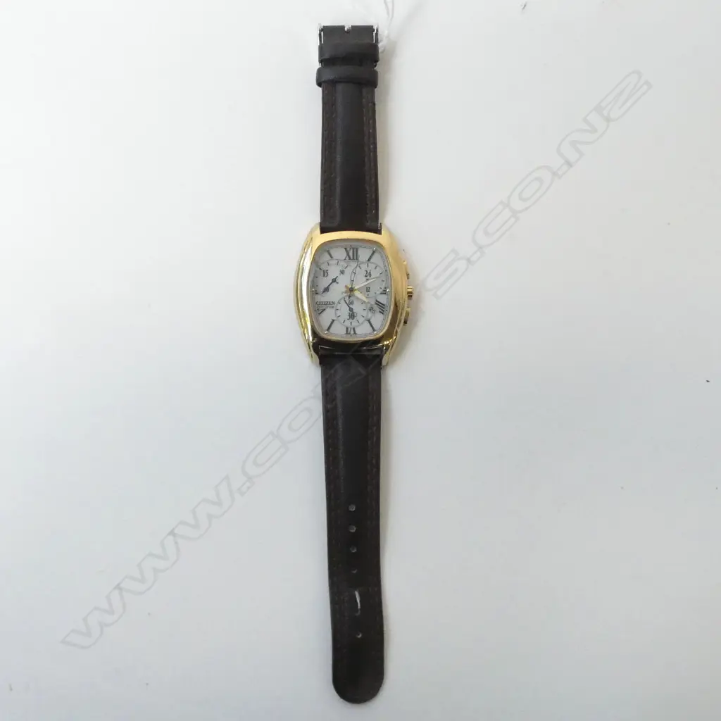 CITIZEN ECO DRIVE WRIST WATCH Image 1++