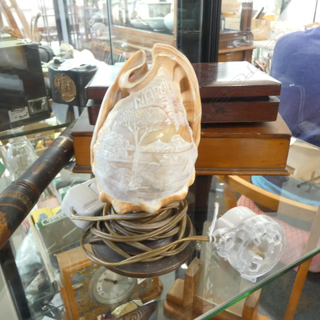 CARVED SHELL LAMP 'NAPOLI' H.150mm Image 1++