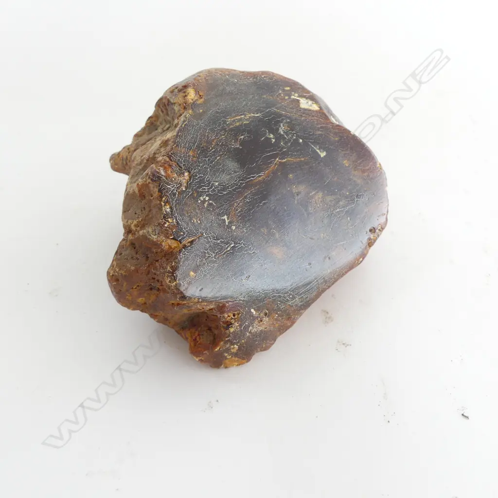 DARK KAURI GUM BOULDER with polished face 130 x 100mm Image 1++