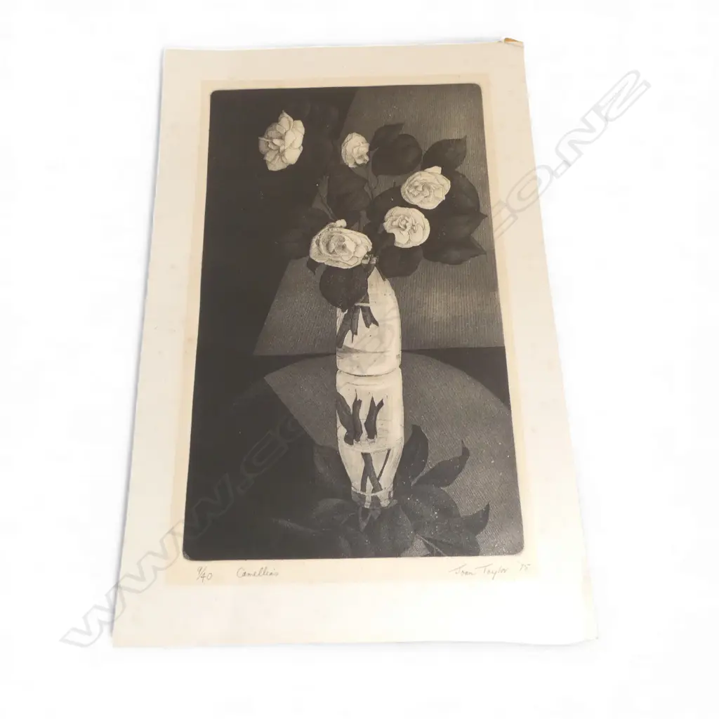 JOAN TAYLOR 'CAMELLIAS' SCREENPRINT 9/40 525x320mm SIGNED & DATED '75 Image 1++