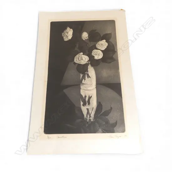 JOAN TAYLOR 'CAMELLIAS' SCREENPRINT 9/40 525x320mm SIGNED & DATED '75