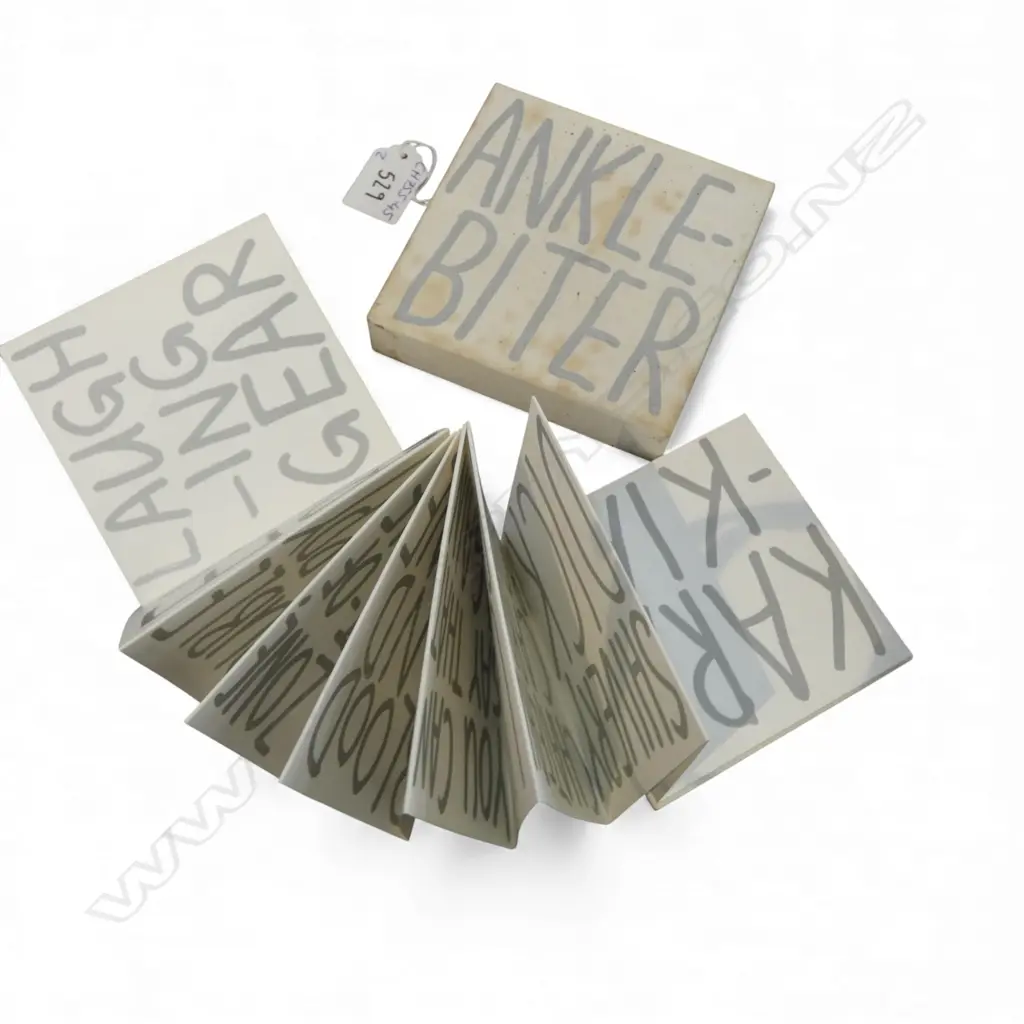 JOHN REYNOLDS, CLOUD BOOK WORK 'ANKLE BITER' + 'WE ARE GOING NOWHERE #2' 2002 103x103mm book with compact disk ALL FOXED Image 1++