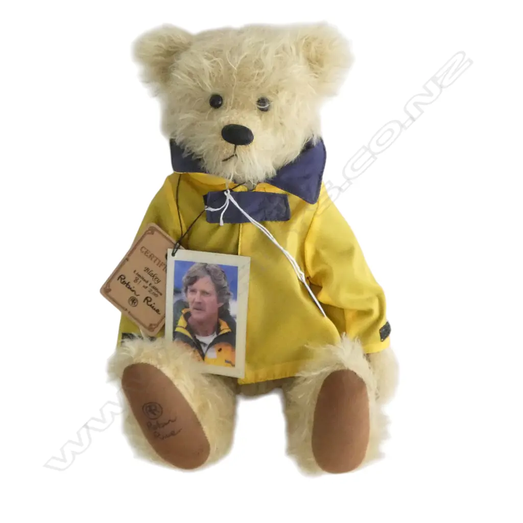 MODERN 'ROBIN RIVE' LTD ED 81/200 'BLAKEY' Sir Peter Blake TEDDY BEAR. Labelled  Image 1++