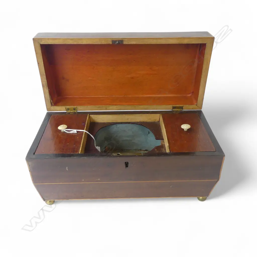 REGENCY SARCOPHAGUS SHAPED TEA CADDY, 2 LIDDED COMPARTMENTS, NO CENTRAL BOWL, L.300mm Image 1++