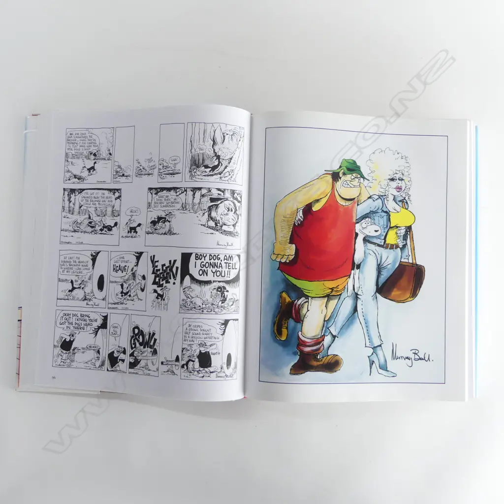 LG BOOK 'FOOTROT FLATS THE DOG STRIPS' MURRAY BALL 335x280mm Image 1++