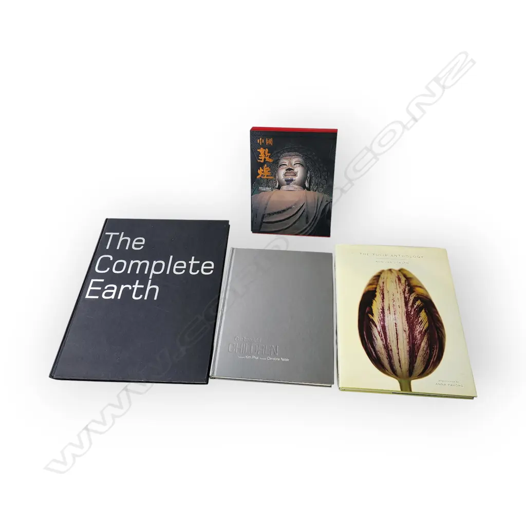 FOUR BOOKS: THE COMPLETE EARTH, CHILDREN BY KEN PLAN CHRISTINE NOBLE,  A CHINESE BOOK AND THE TULIP ANTHOLOGY Image 1++
