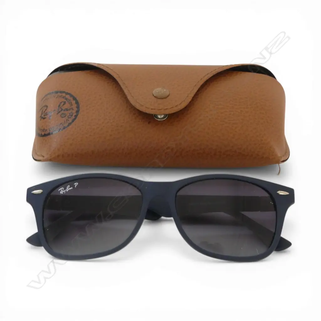 PR RAY BAN GLASSES in case Image 1++