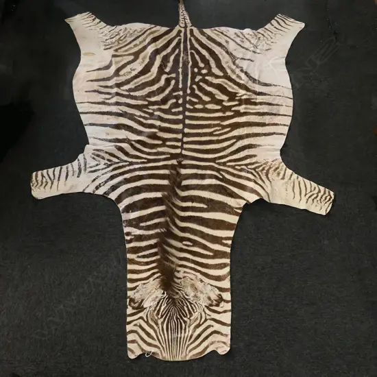 LG ZEBRA SKIN, patch repair to right flank