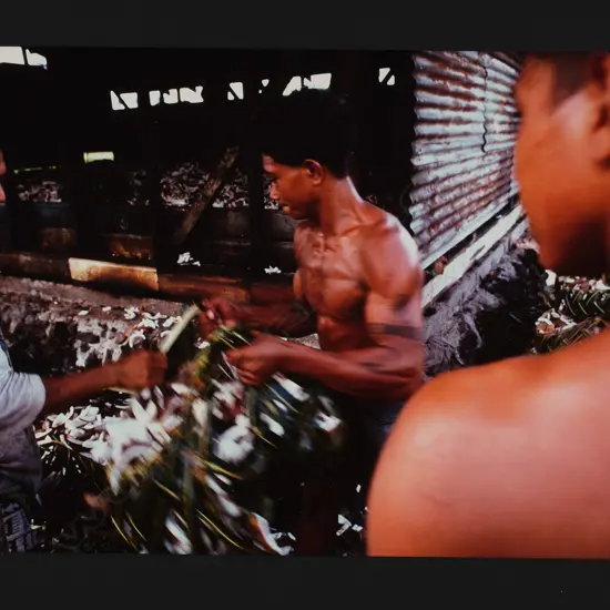 Arno Gasteiger (1962-) ‘Copra workers in Lalomalava Savai’I, Western Samoa June 1996’, colour photographic print, framed
