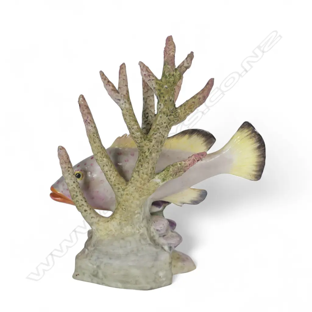 Royal Worcester porcelain figurine of a 'Red Hind' fish with coral by Ronald Van Ruyckevelt Image 1++