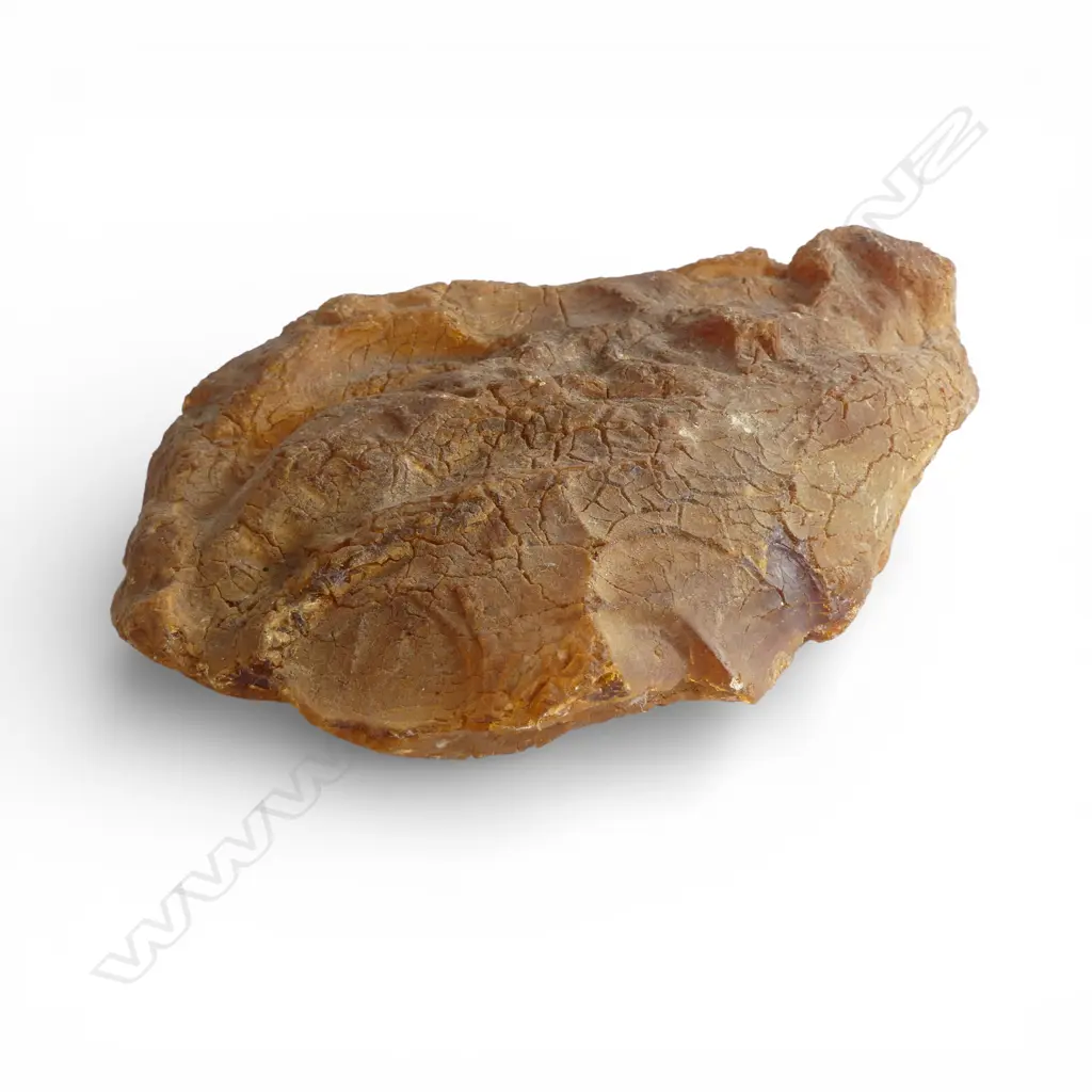 KAURI GUM NUGGET L200MM ONE SIDE POLISHED Image 1++