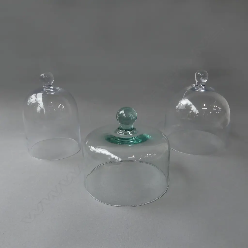 3 GLASS CLOCHE H.220mm Image 1++