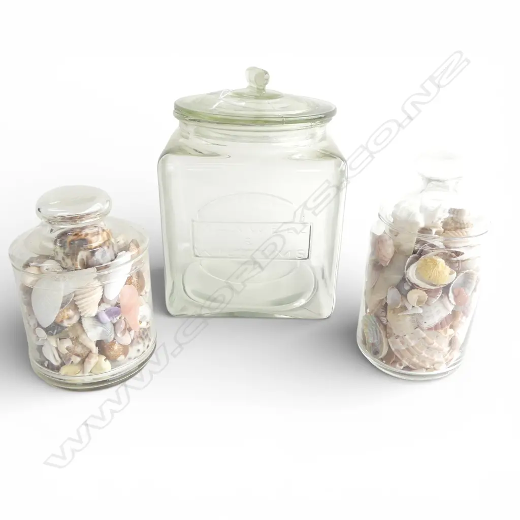 MAXWELL & WILLIAMS GLASS COOKIE JAR H260MM & 2 LIDDED GLASS JARS TROPICAL SHELLS Image 1++