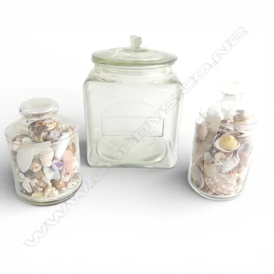 MAXWELL & WILLIAMS GLASS COOKIE JAR H260MM & 2 LIDDED GLASS JARS TROPICAL SHELLS