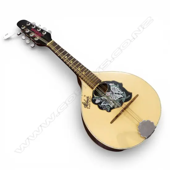 HOBNER MANDOLIN L.640mm