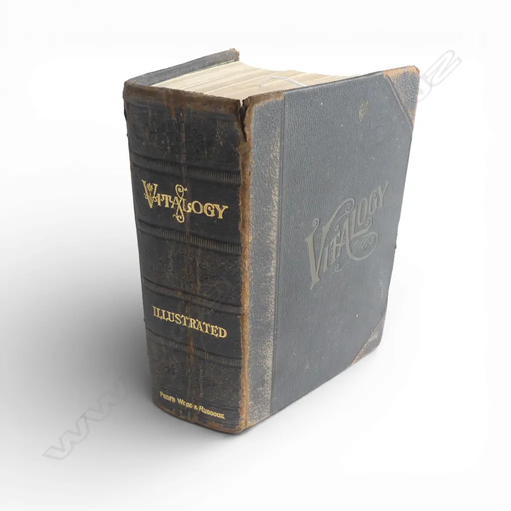 1920 BOOK 'VITALOGY ILLUSTRATED' by PROFS WOOD & RUDDOCK '... showing how to secure Health - Long life - Success and Image 1++