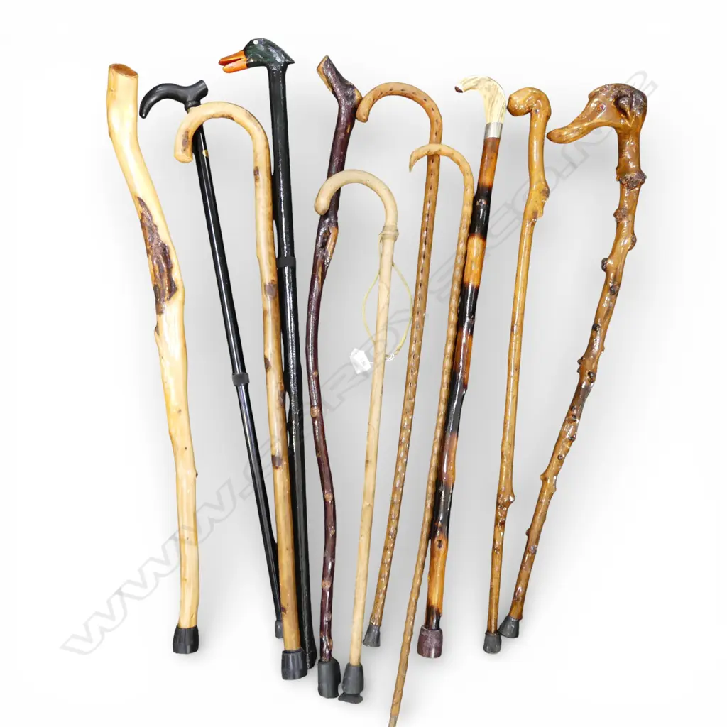 11 WALKING STICKS Image 1++