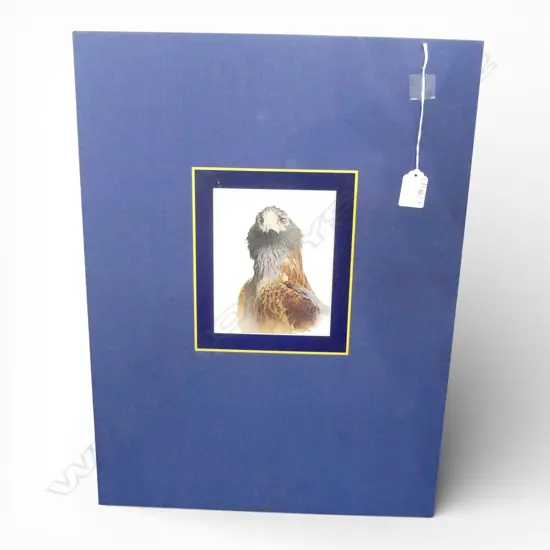 CASED ART BOOK 'STUDIES & SKETCHES OF A BIRD PAINTER BY RAYMOND CHING' 336/500 1981 SIGNED 415x295mm