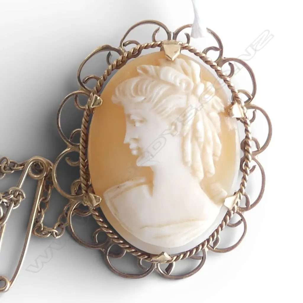 9ct GOLD FRAMED CAMEO BROOCH 6gms Image 1++