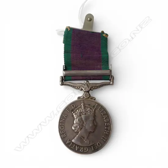 ERII 'BORNEO' CAMPAIGN SERVICE MEDAL to RFN T. G. McBRIDE