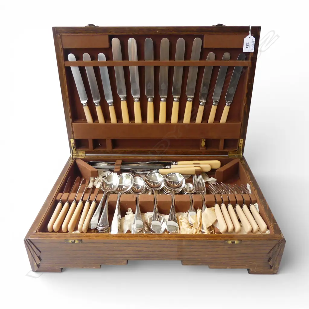 CUTLERY CANTEEN w. IVORINE 'BONE' HANDLES W.465mm Image 1++