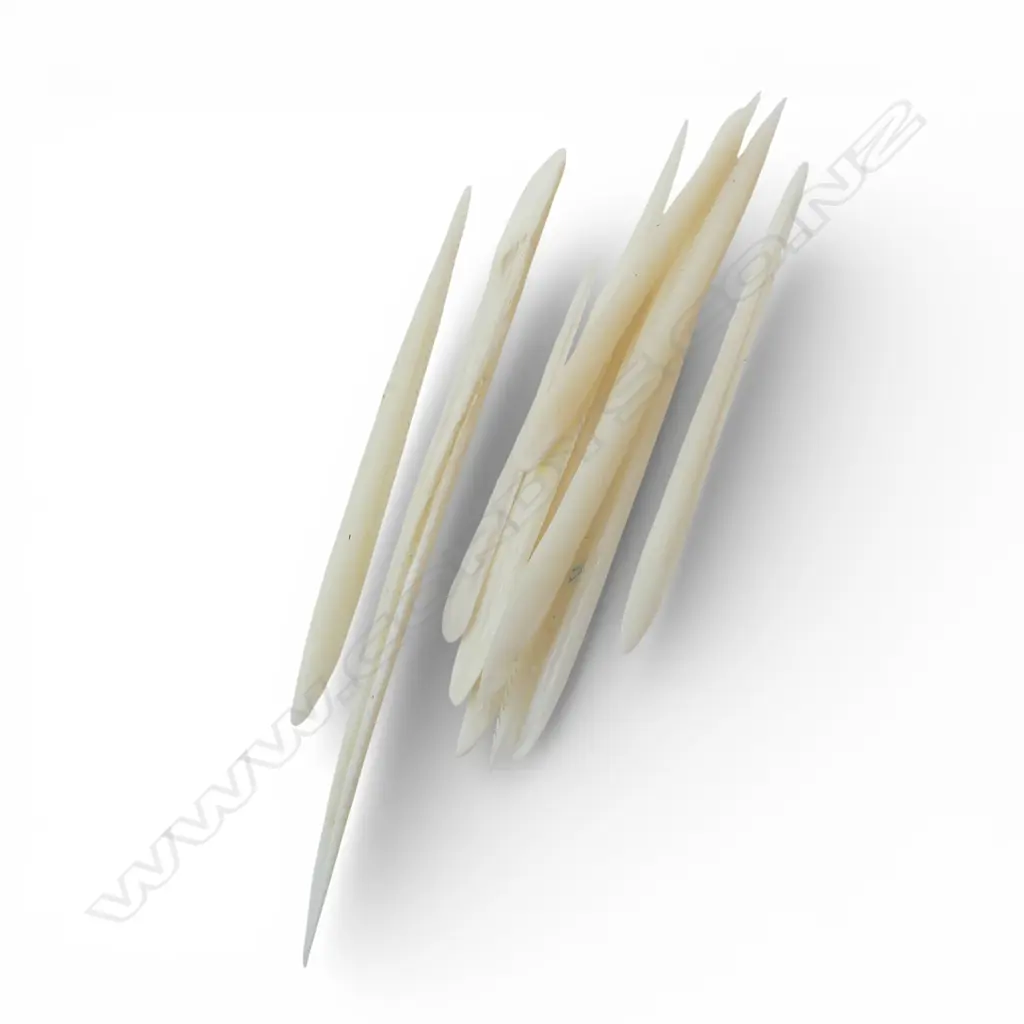 COLLECTION STRINGRAY BARBS & PYRITE SUN PCS Image 1++