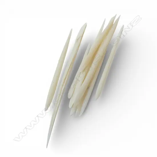 COLLECTION STRINGRAY BARBS & PYRITE SUN PCS