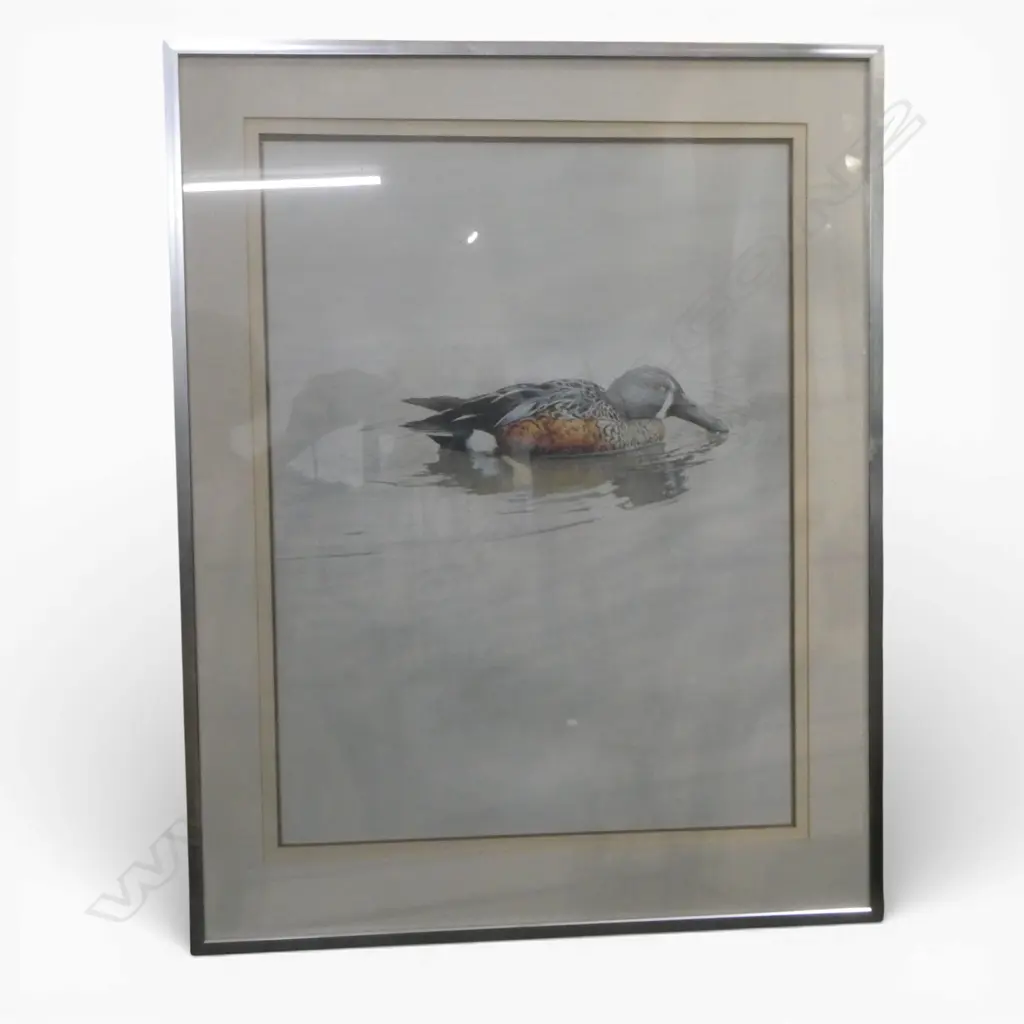 RAYMOND CHING DUCK PRINT 640x480mm Image 1++
