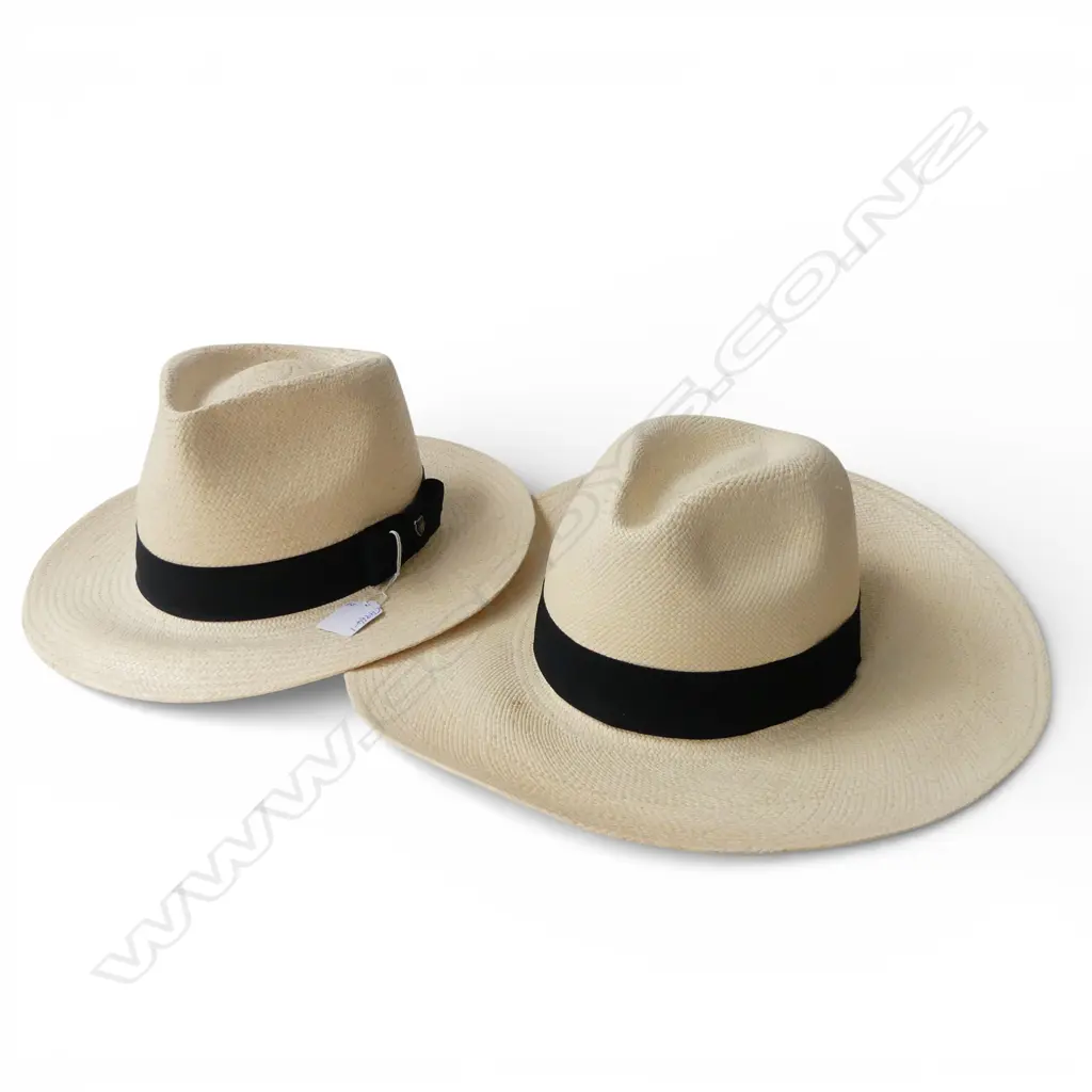 2 PANAMA HATS; SARAH J CURTIS size 57-7 & HILLS HATS size M  Image 1++