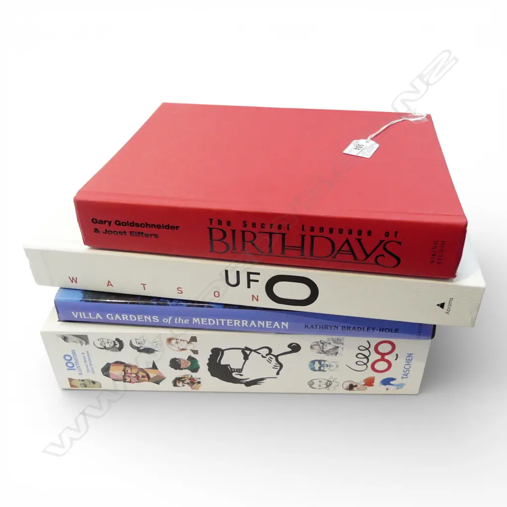 4 BOOKS; TASCHEN 100 ILLUSTRATORS, ALBERT WATSON UFO, BIRTHDAYS, VILLA GARDENS Image 1++