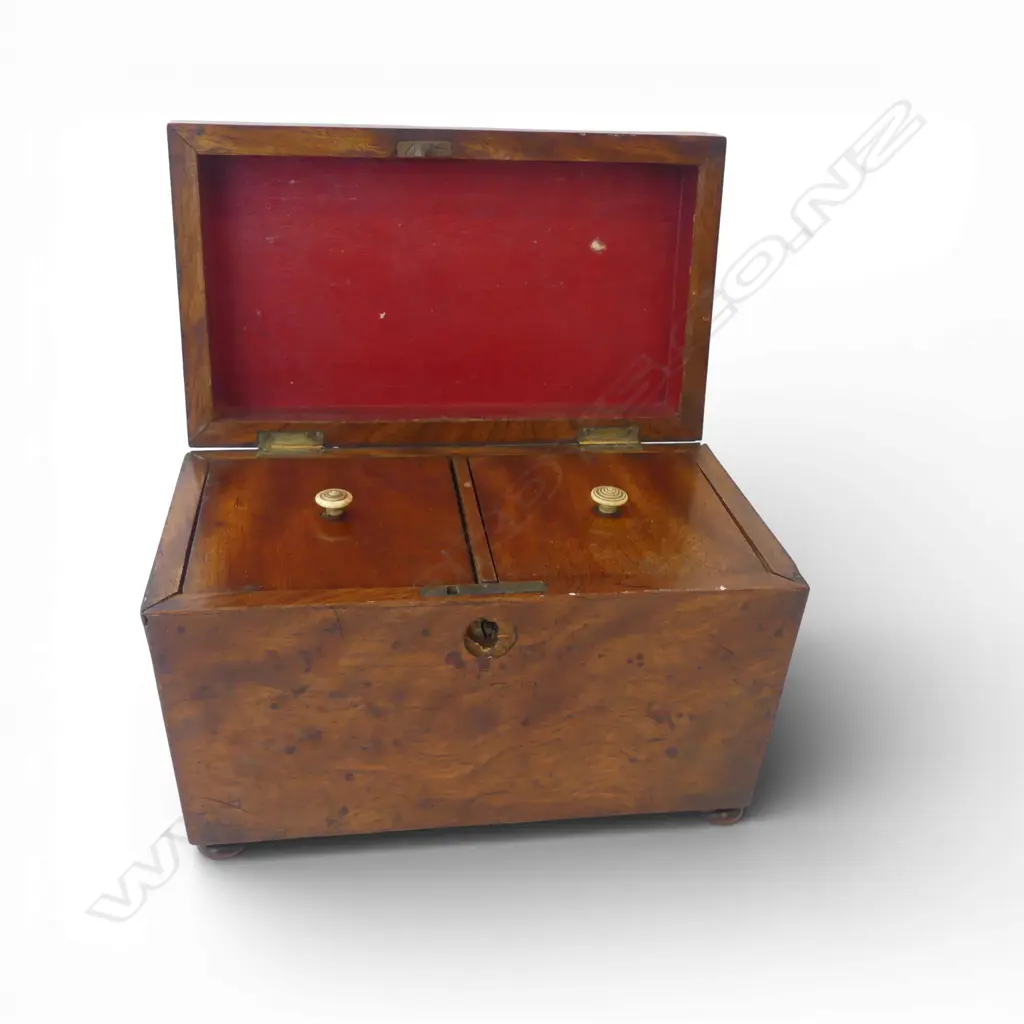 ANTIQUE MAHOGANY SARCOPHAGUS SHAPE TEA CADDY with two lidded & fitted compartments, escutcheon missing W.210mm Image 1++