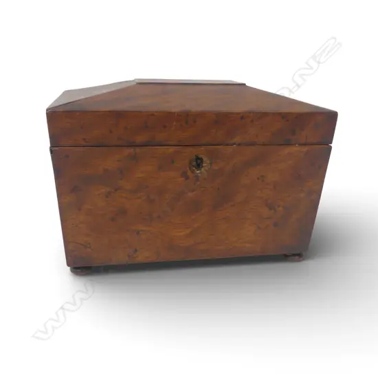 ANTIQUE MAHOGANY SARCOPHAGUS SHAPE TEA CADDY with two lidded & fitted compartments, escutcheon missing W.210mm