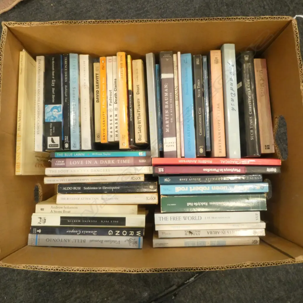 ASST. NOVELS - GAY INTEREST Image 1++