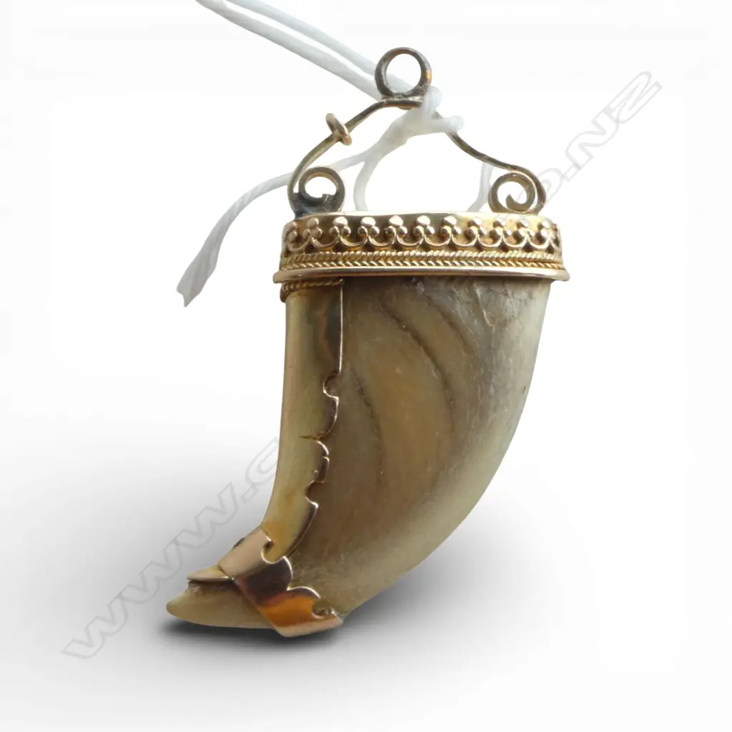 10ct GOLD MOUNTED TIGERS CLAW PENDANT Image 1++